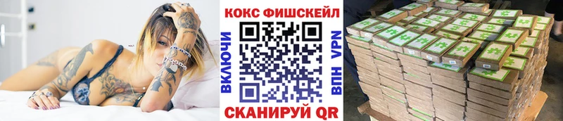 как найти закладки  Богородицк  Cocaine Fish Scale 