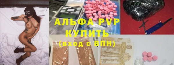 стаф Беломорск