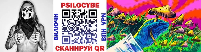 Галлюциногенные грибы Psilocybine cubensis  Богородицк 