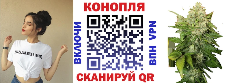 купить наркоту Богородицк Каннабис White Widow
